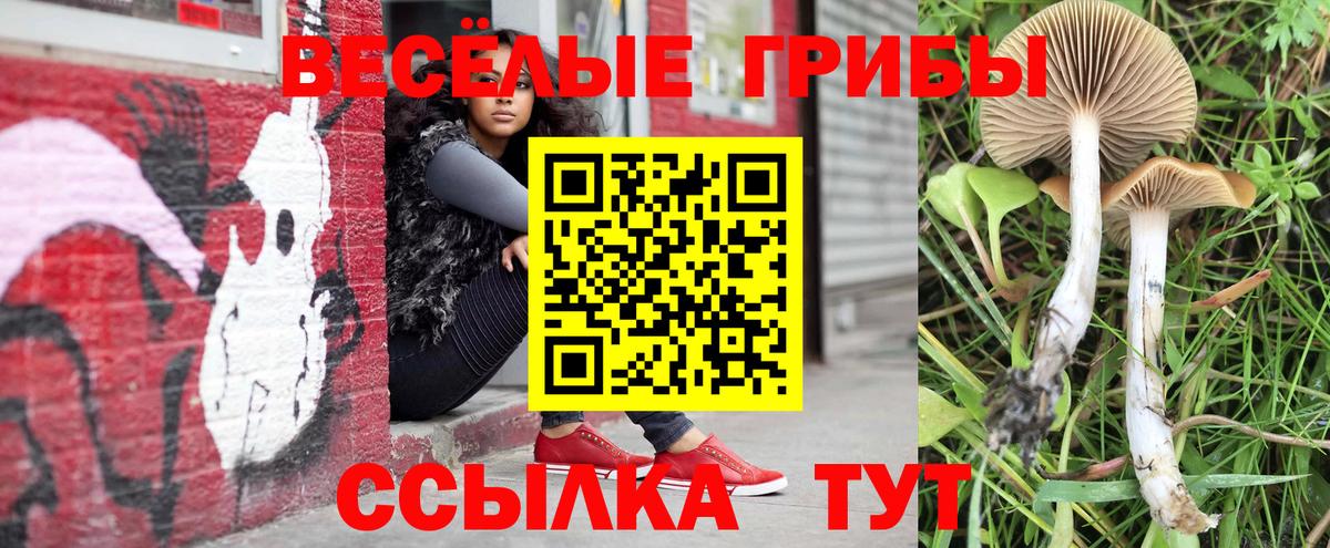Гурьевск  Псилоцибиновые грибы Cubensis  Вход с VPN  Галлюциногенные грибы ЛСД 