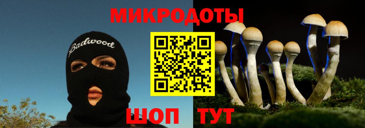 Галлюциногенные грибы GOLDEN TEACHER Гурьевск